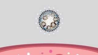 Viruses - A Micro Perspective