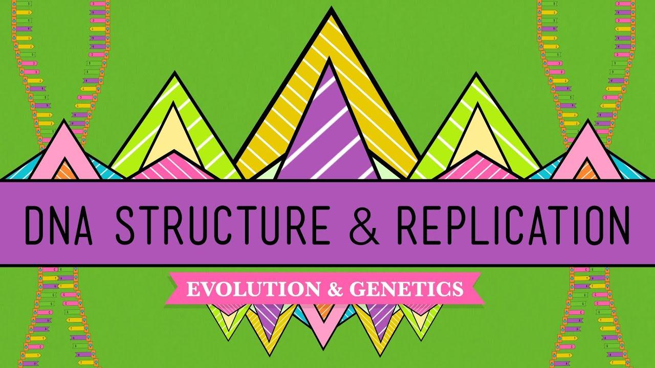Let's Learn About DNA
