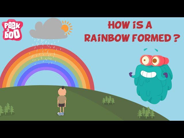Let's Learn About Rainbows!