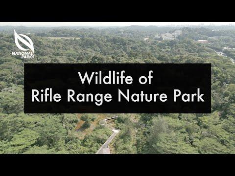 Discovering Rifle Range Nature Park: A Gateway to Biodiversity and Learning